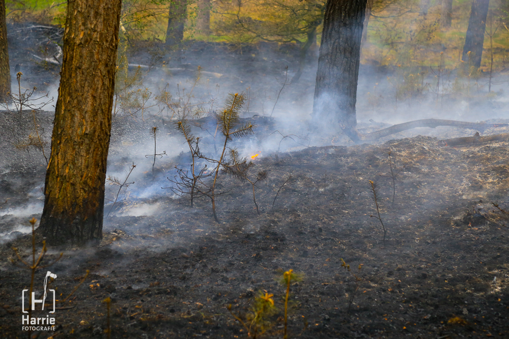 bosbrand vlierden_4323.jpg